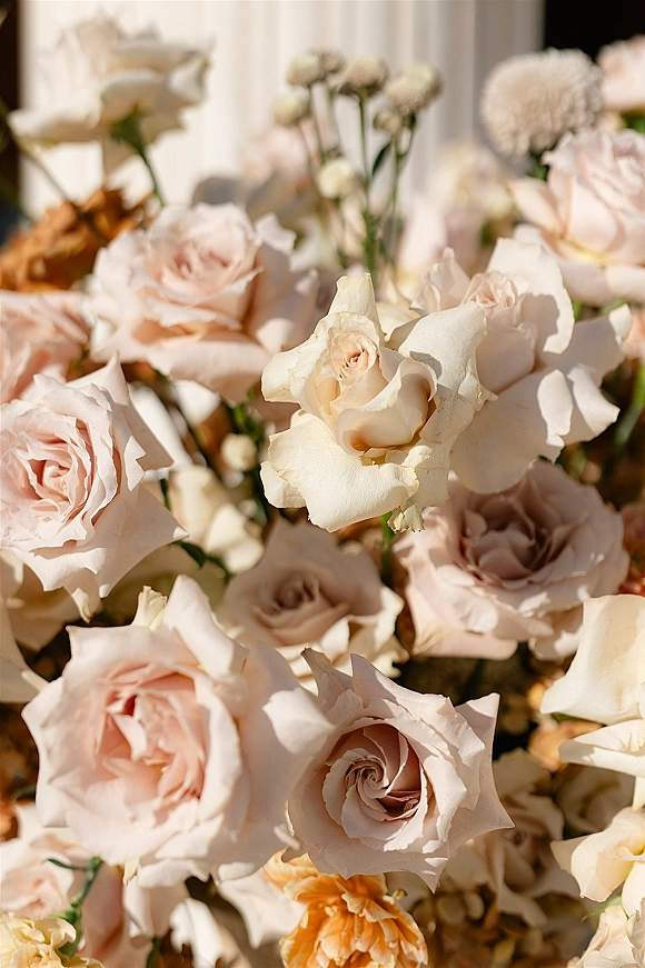 Wedding florals blush rose arrangement with ivory and beige roses, white filler blooms and greenery in warm sunlight on a neutral backdrop