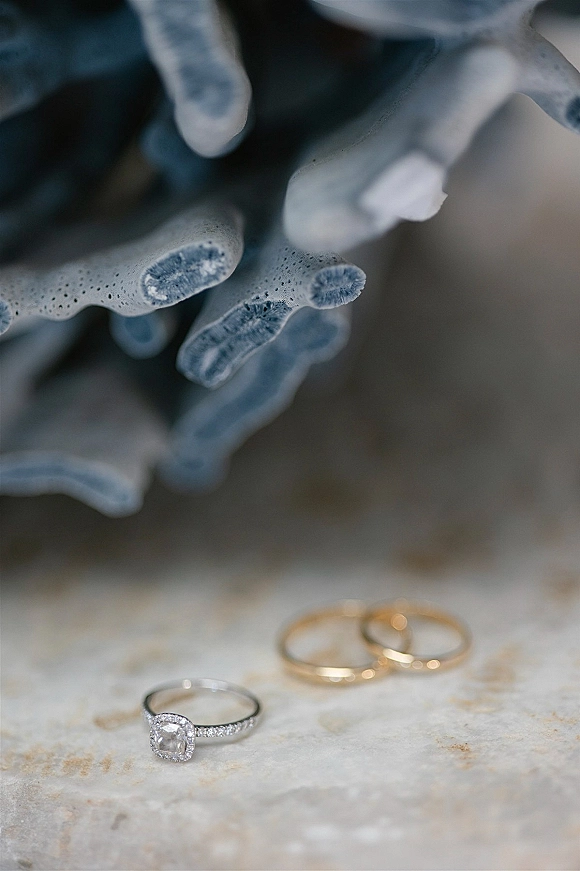 Wedding rings with a diamond engagement ring and gold wedding bands resting on a stone surface with blue flower petals nearby