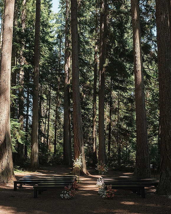 Forest ceremony setup with wood benches lining a simple aisle, accented by pastel floral arrangements beneath tall pines in dappled sunlight