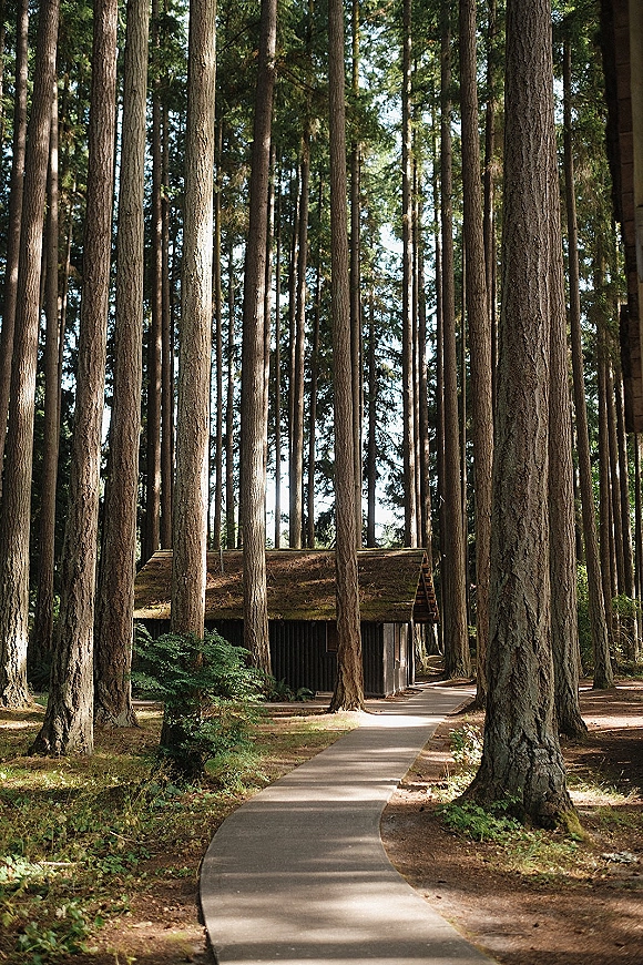 Forest venue exterior with moss roof and wooden siding along a paved walkway, framed by tall pine trees in warm sunlight