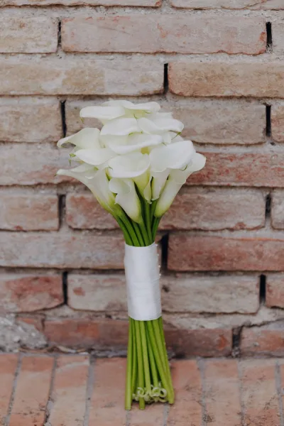 Calla lily bouquet with white calla lilies and a white ribbon wrap, long green stems resting on a brick wall and floor backdrop