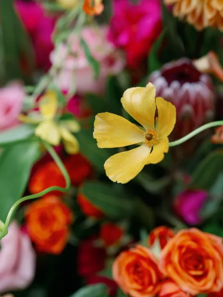 Wedding bouquet with colorful wedding bouquet blooms, orange roses and one yellow flower amid greenery, set against softly blurred florals