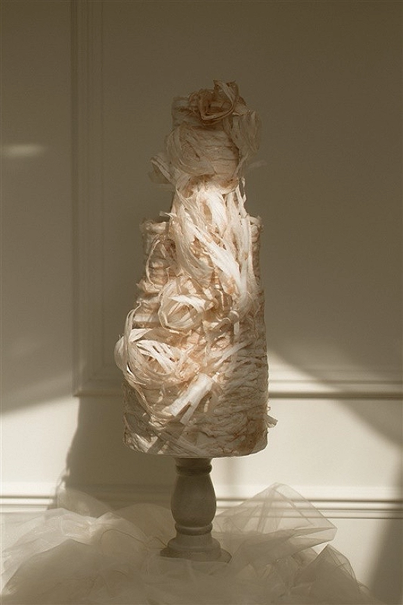 Wedding dress, tulle wedding dress displayed on a mannequin with lace and feather detailing, lit by window light against a white paneled wall