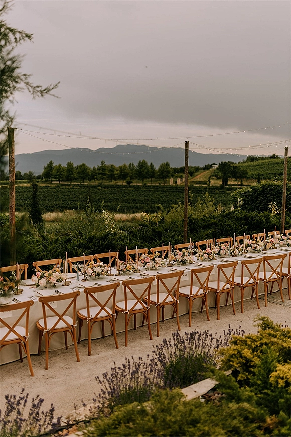 Reception tablescape on a farmhouse dining table with blush and white roses, greenery garland, taper candles, and string lights in a vineyard setting