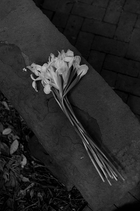 Bouquet close-up of a white wedding bouquet with long stems, resting on a stone ledge beside a brick walkway and foliage