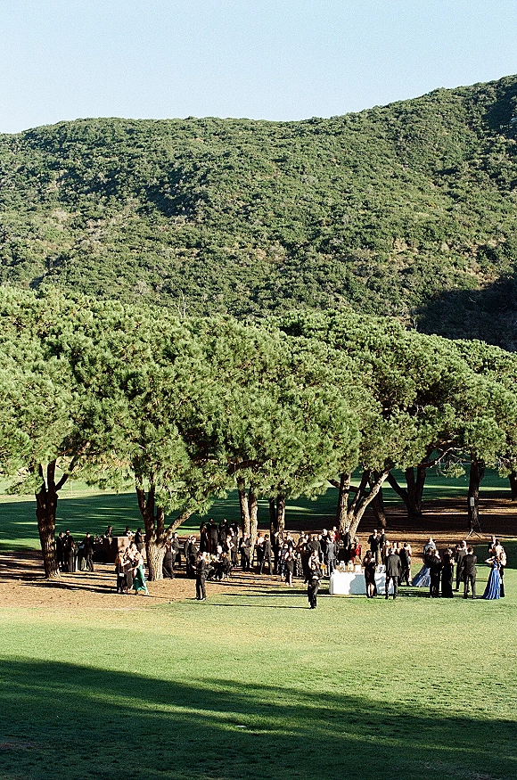 Outdoor wedding cocktail hour with guests mingling around linen cocktail tables and drinks on a grassy lawn beneath pine trees and hills