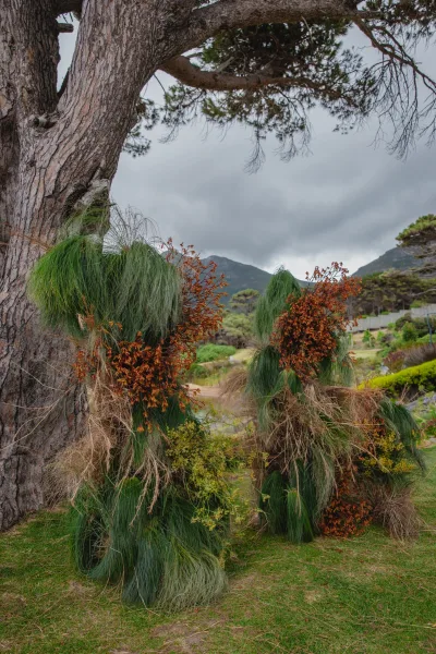 Wedding ceremony backdrop with asymmetrical ceremony backdrop of greenery and pampas grass beneath a large tree on a mountain lawn under clouds