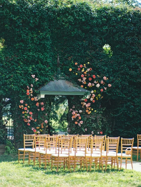Ceremony setup with outdoor ceremony seating facing a floral arch of roses and greenery, set against an ivy wall in sunlit garden lawn