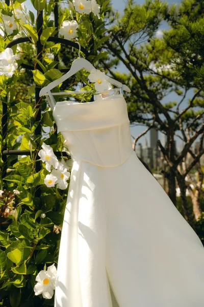 Wedding dress, a strapless wedding gown hanging on a trellis, its clean lines framed against trees, blue sky, and a distant skyline.