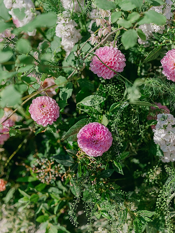 Wedding florals featuring pink dahlia wedding flowers with white blooms, greenery foliage, and vine accents against lush green foliage backdrop