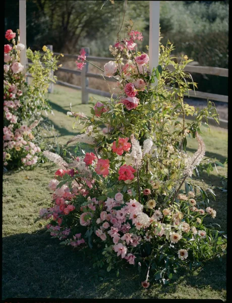Ceremony floral arrangements on a wedding floral arch with pink garden roses and greenery, set on a grass lawn by a wooden fence