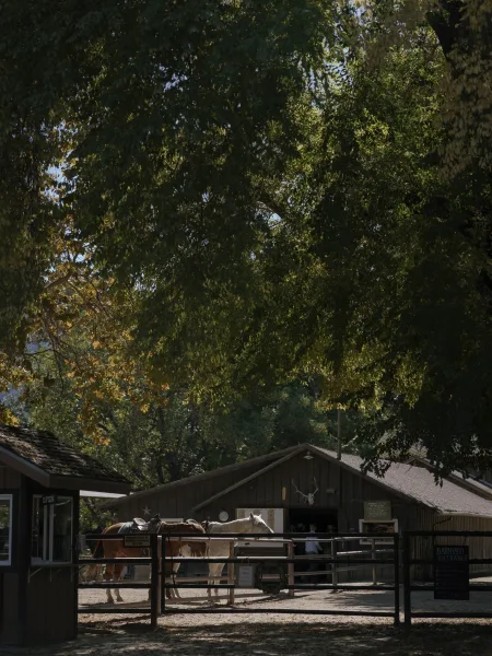 Barnyard entrance with saddled horses tied to a wooden fence near barn buildings and a ranch sign under dappled sunlight trees