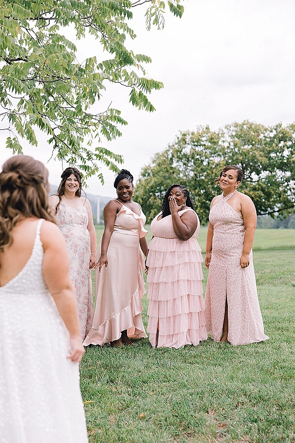 Bridesmaids portrait in blush bridesmaid dresses, smiling in a row on a grassy lawn as the bride in a lace gown approaches under trees