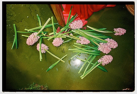 Wedding flower toss scattered across a green floor, pink blooms and loose stems with a red fabric accent near a wooden leg