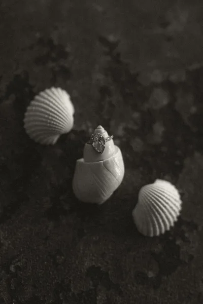 Engagement ring nestled on seashells in dark sand, moody beach engagement ring photo highlighting pear-shaped diamond and delicate band