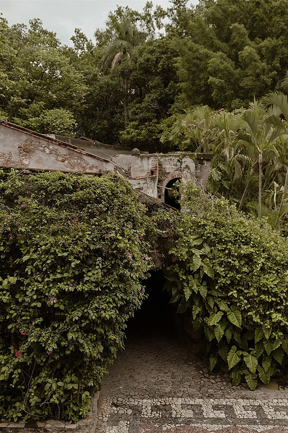 Garden walkway in a tropical garden path, stone pathway winding between vine-covered walls and shrubs under overcast sky