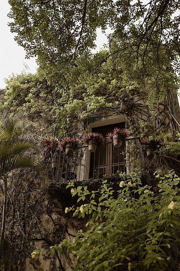Wedding venue exterior with ivy climbing a stone wall, balcony railing lined with potted plants, and hanging planters beneath a tree canopy