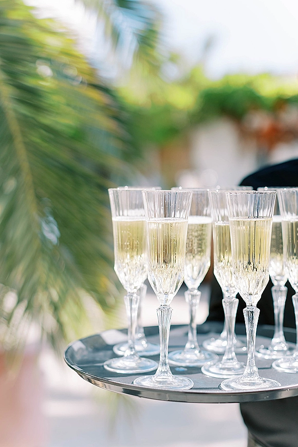 Champagne toast with wedding champagne service as a tuxedoed server holds a tray of flutes, palm leaves blurred in daylight bokeh