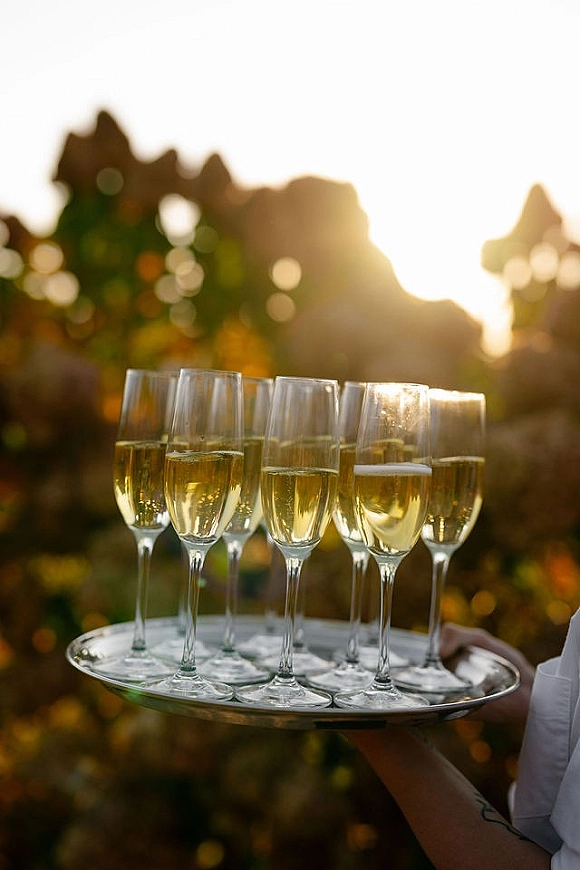 Champagne toast with wedding champagne flutes filled on a serving tray, glowing in sunset light against blurred garden foliage