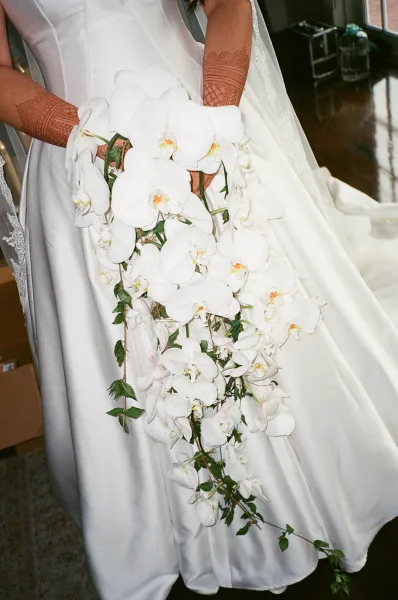 Bridal bouquet of white orchid bridal bouquet cascading with greenery, held by a bride with mehndi hands and lace-trim veil in window light