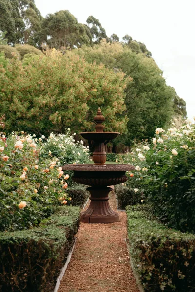Garden fountain with a graceful tiered fountain at its center, water cascading beside blooming roses in a serene outdoor garden.