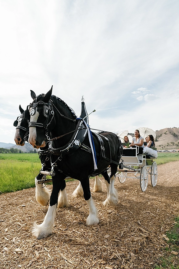Horse drawn carriage with two harnessed horses and a bride holding white parasols, rolling down a country road with mountains behind