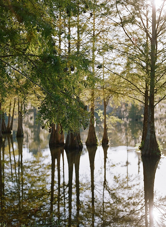 Lakeside scenery with tree reflections on water, calm lake surface mirroring cypress trees as sunlight filters through the shoreline woods
