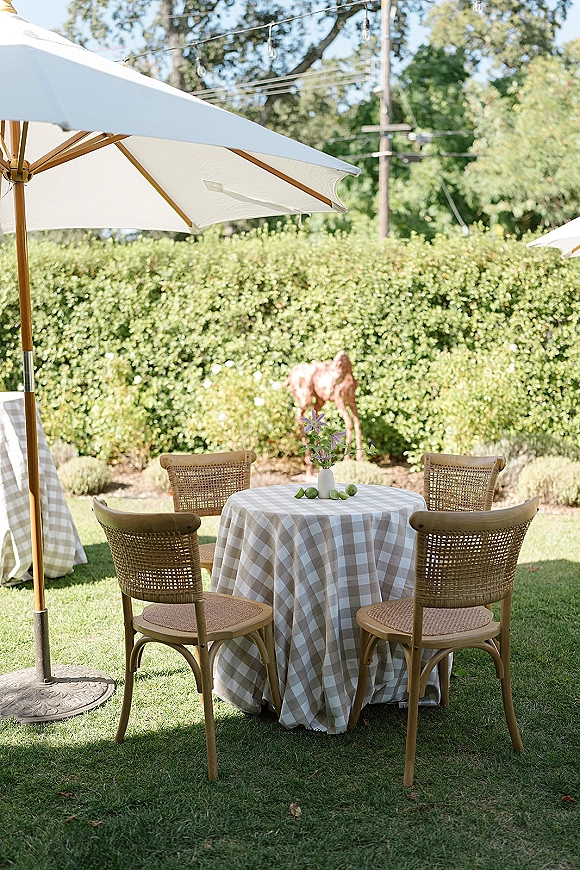Outdoor reception table with gingham tablecloth, garden reception seating under a patio umbrella, rattan chairs, limes, and string lights