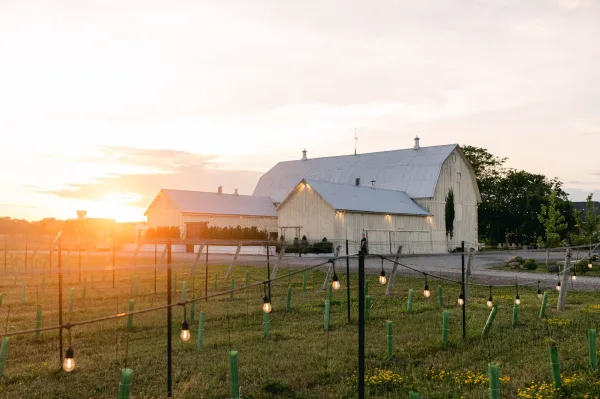 Barn wedding venue with string lights glowing along fence posts beside a gravel driveway, set in a grassy field under a sunset sky