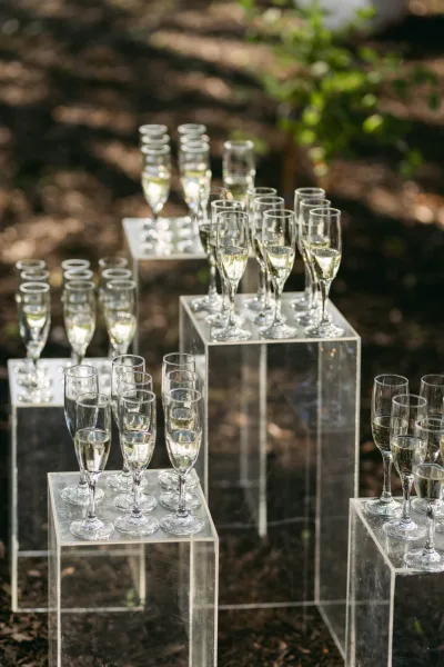 Champagne display with rows of pre-poured flutes on clear acrylic pedestal stands at an outdoor garden wedding in dappled sunlight