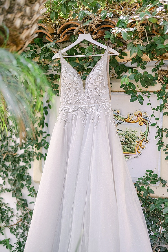 Wedding dress on a hanger with lace appliqué and beaded V-neck bodice, spaghetti straps and tulle skirt, framed by vine greenery