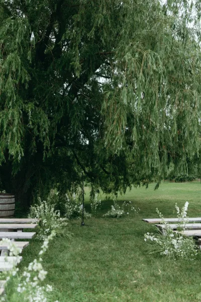 Ceremony setup with wood benches and aisle flowers beneath a large willow tree, greenery ground florals lining the grassy lawn aisle.