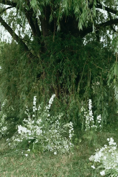 Ceremony florals with ground floral arrangements of white flowers and greenery clustered on a grass lawn beneath a weeping willow tree