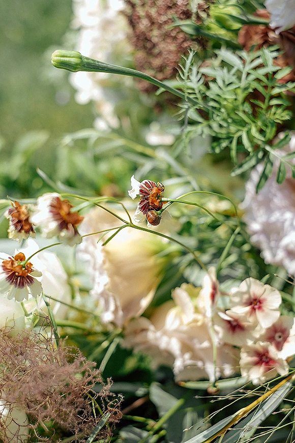 Wedding bouquet with wildflowers and greenery, featuring seed pods and dried florals in natural light against a blurred garden backdrop