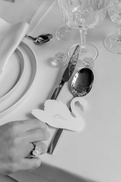 Wedding place card, a swan place card perched at a classic place setting beside crystal glassware, awaiting the guest.