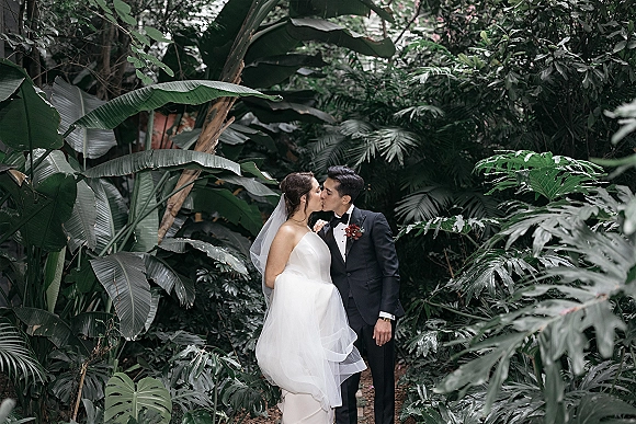 Wedding kiss portrait of bride and groom kissing on a garden path, veil draped over strapless dress beside lush tropical foliage