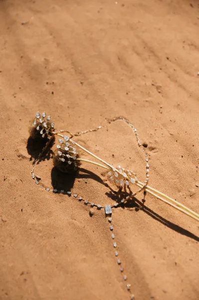 Bridal jewelry flatlay with bridal hair pins, a rhinestone chain necklace in gold settings, and dried bunny tail grass on sunlit sand