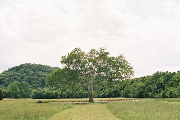 Outdoor ceremony setup for a ceremony under a large tree, a simple grass aisle leading through a meadow with a treeline and distant hill.
