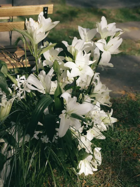 Ceremony aisle florals with white lily aisle arrangement of lilies, greenery, and ornamental grass beside a wooden bench on a stone path lawn