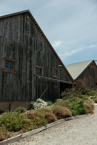 Barn wedding venue rustic barn exterior with weathered wood siding and sliding doors, framed by wildflowers along a gravel drive under open sky