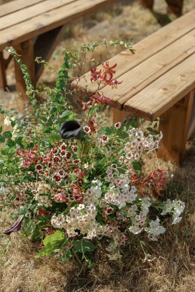 Ceremony aisle flowers with aisle meadow flowers, wildflower ground arrangement of red lilies, white blooms and greenery beside wooden benches in a dry field