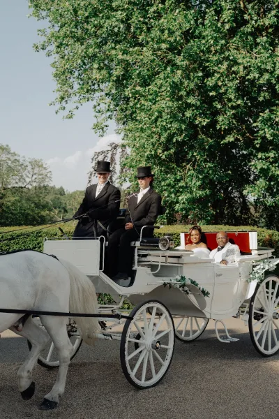 Wedding carriage in a horse drawn wedding ride led by a white horse, carrying the couple in classic style.