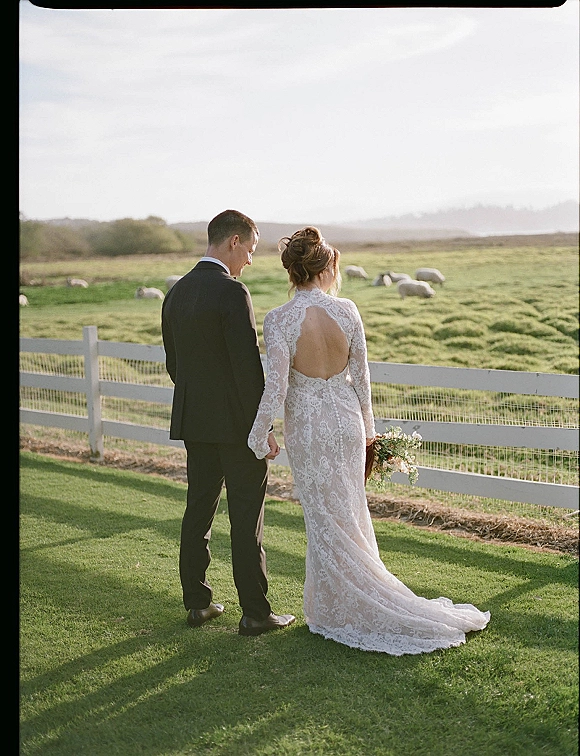 Couple portrait of bride and groom from behind holding hands, bride in open-back lace gown with train beside white fence and sheep pasture