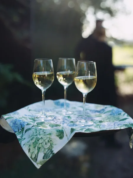 Cocktail hour drinks with tray passed wine, chilled and inviting beside a single floral napkin, set against lush garden greenery on the lawn.