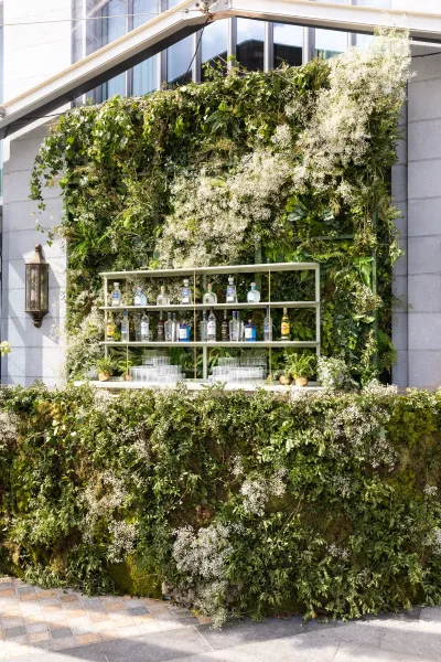 Wedding bar setup with a greenery wall bar, liquor bottles and glassware on shelves against a stone patio wall with lantern and windows