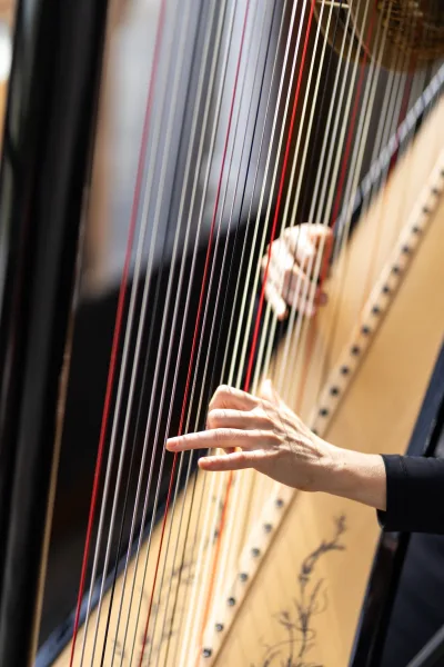Harpist performance at a wedding ceremony, close-up of hands plucking harp strings in a long-sleeve outfit against a soft indoor backdrop