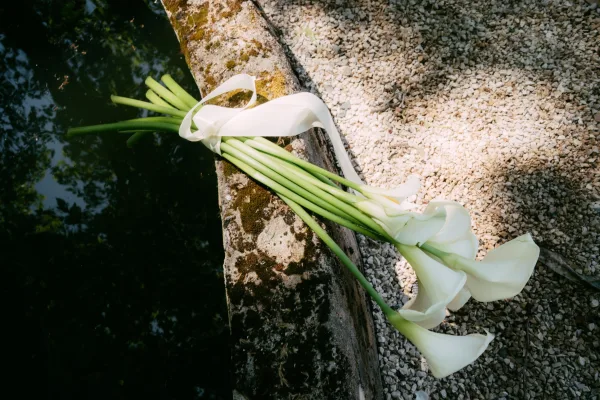 Calla lily bouquet of white calla lilies with ribbon-wrapped stems, resting on a stone ledge beside gravel and water.