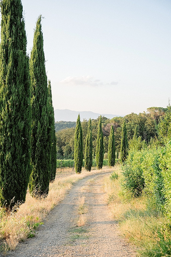 Outdoor wedding scenery with a cypress tree lane along a vineyard dirt road, framed by rolling hills, dry grass, and blue sky