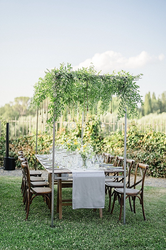 Reception tablescape with an outdoor reception table under greenery canopy and hanging bulbs, set on a lawn beside vineyard rows