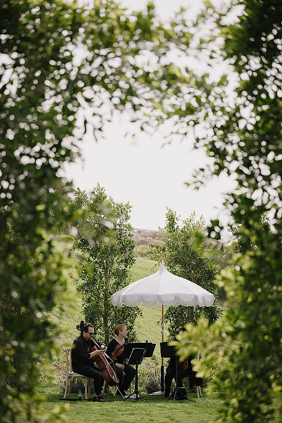 Wedding ceremony musicians in a string quartet wedding setup with violins and cello on a lawn, shaded by a white umbrella among trees